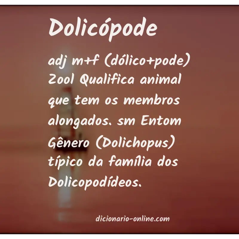 Significado de dolicópode