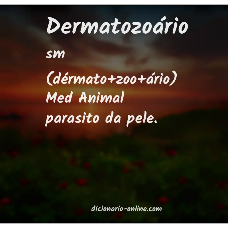 Significado de dermatozoário