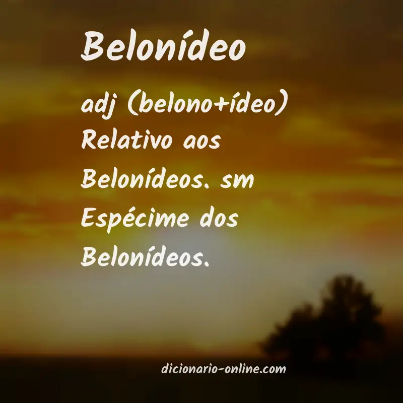 Significado de belonídeo