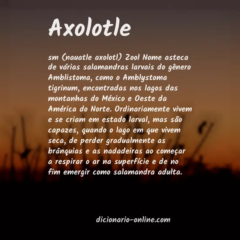 Significado de axolotle