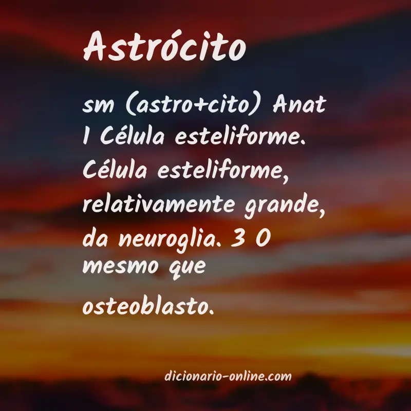 Significado de astrócito
