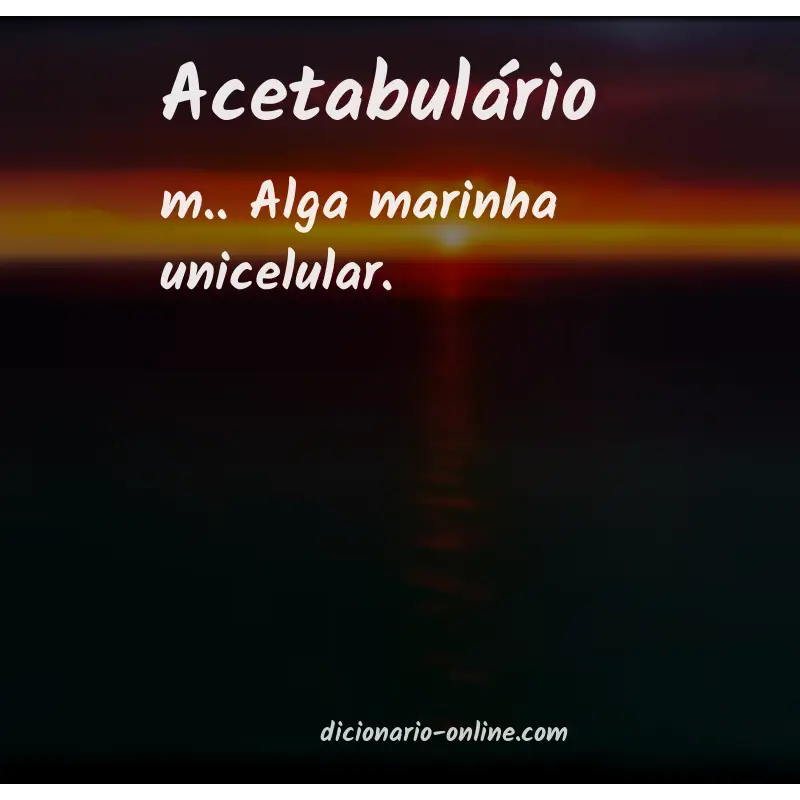 Significado de acetabulário
