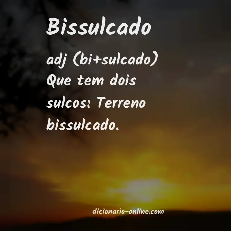 Significado de bissulcado