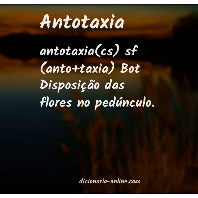 Significado de antotaxia