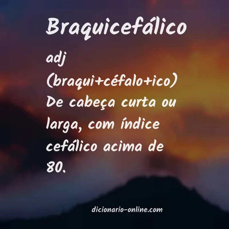 Significado de braquicefálico