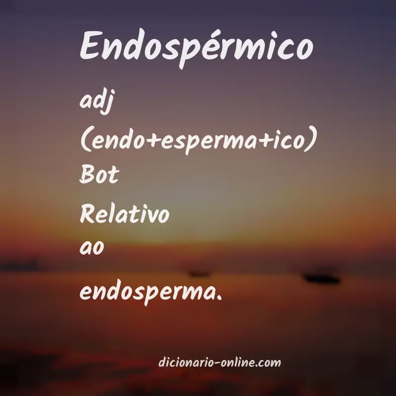 Significado de endospérmico