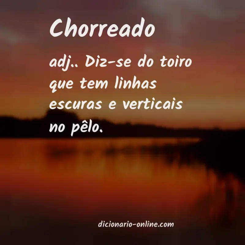 Significado de chorreado