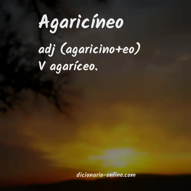 Significado de agaricíneo