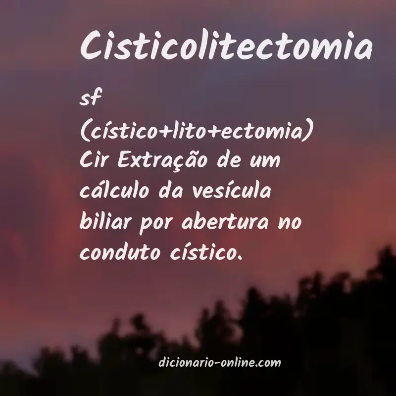 Significado de cisticolitectomia