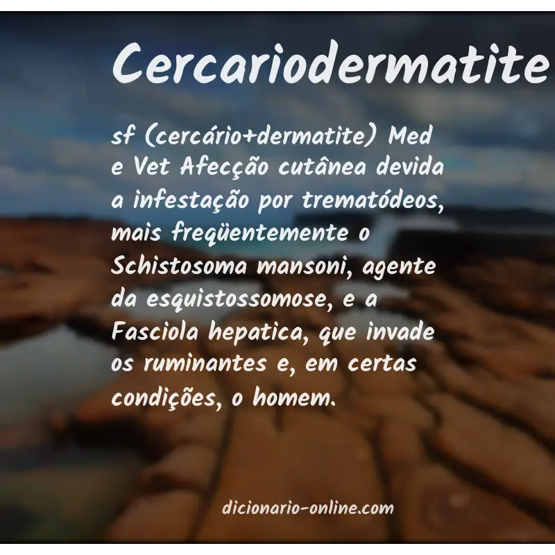 Significado de cercariodermatite