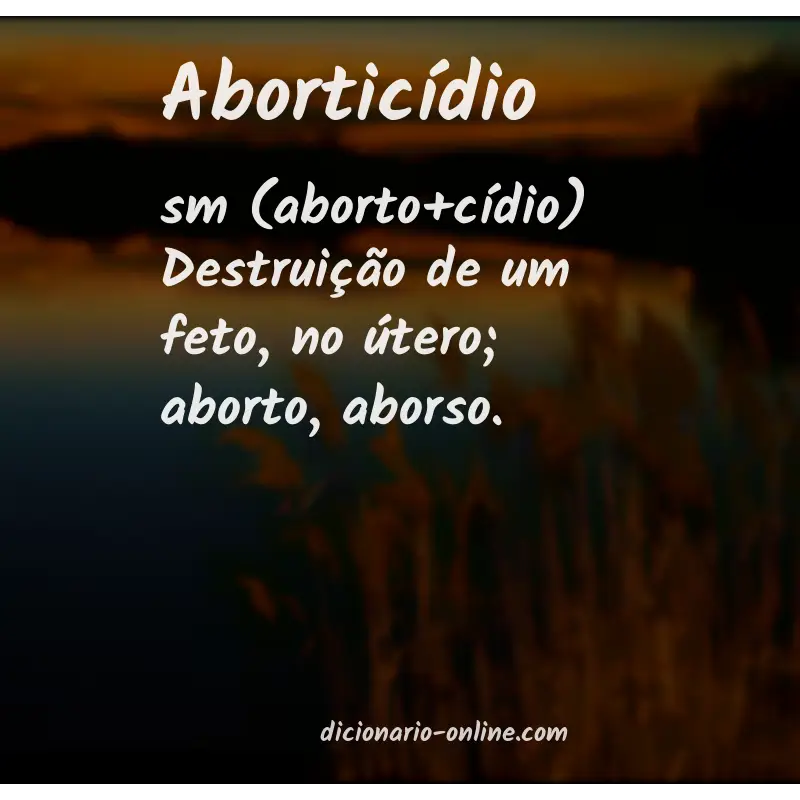 Significado de aborticídio