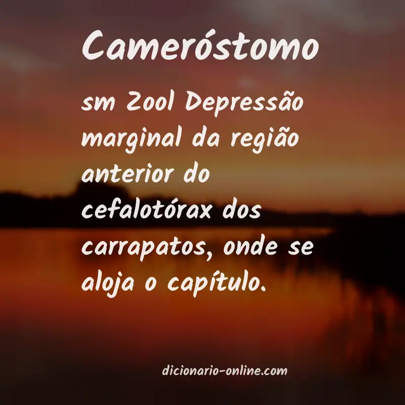 Significado de cameróstomo