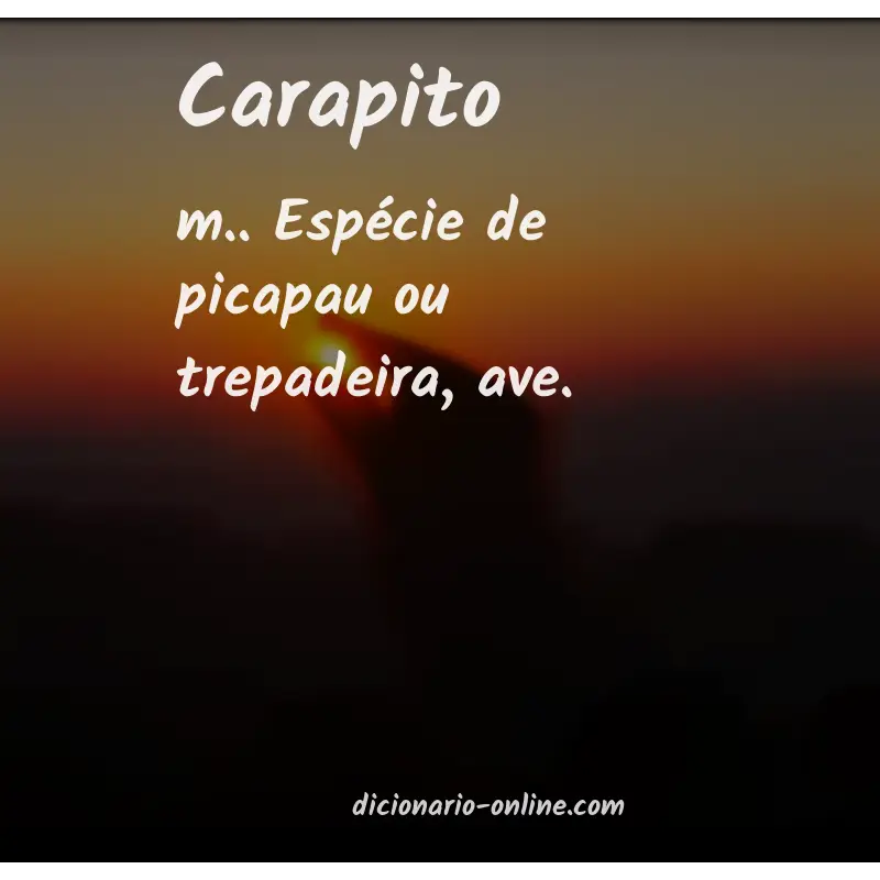 Significado de carapito