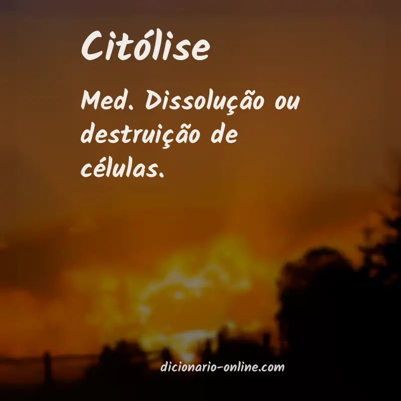 Significado de citólise