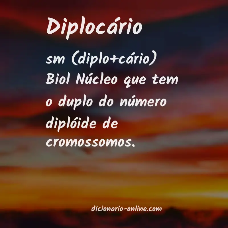Significado de diplocário