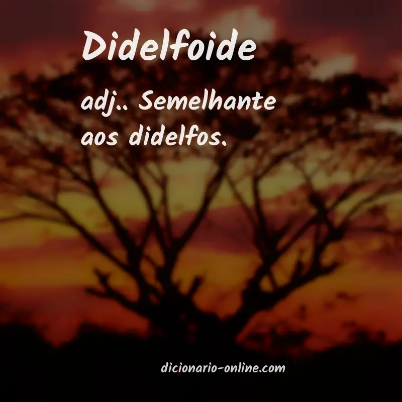 Significado de didelfoide