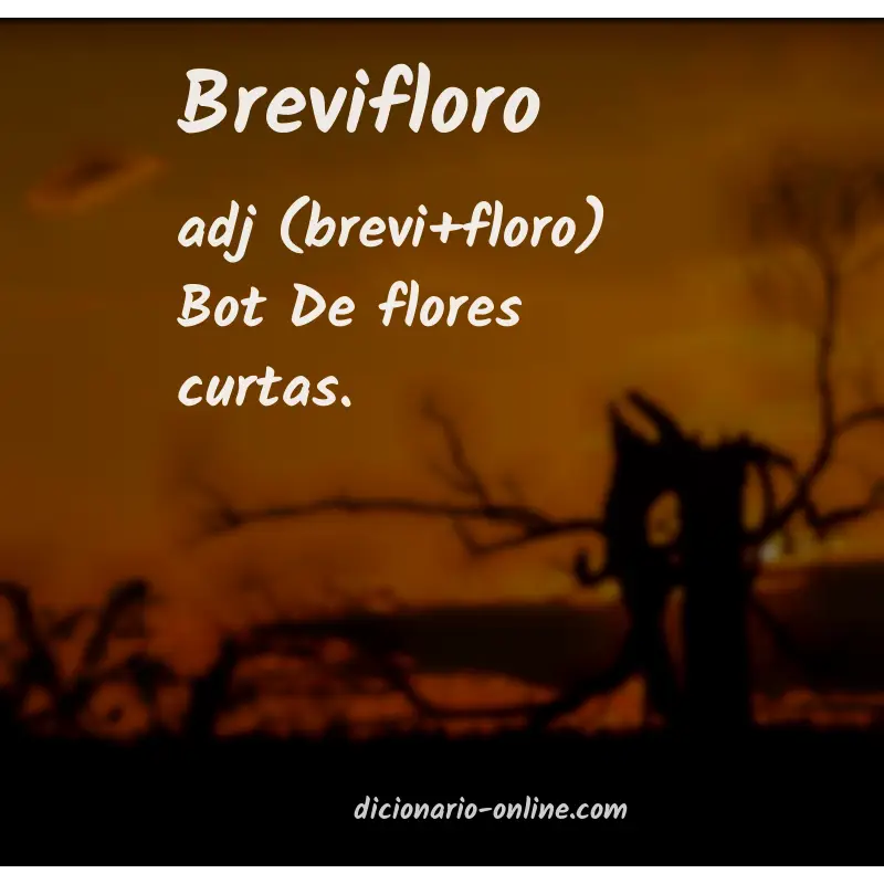 Significado de brevifloro