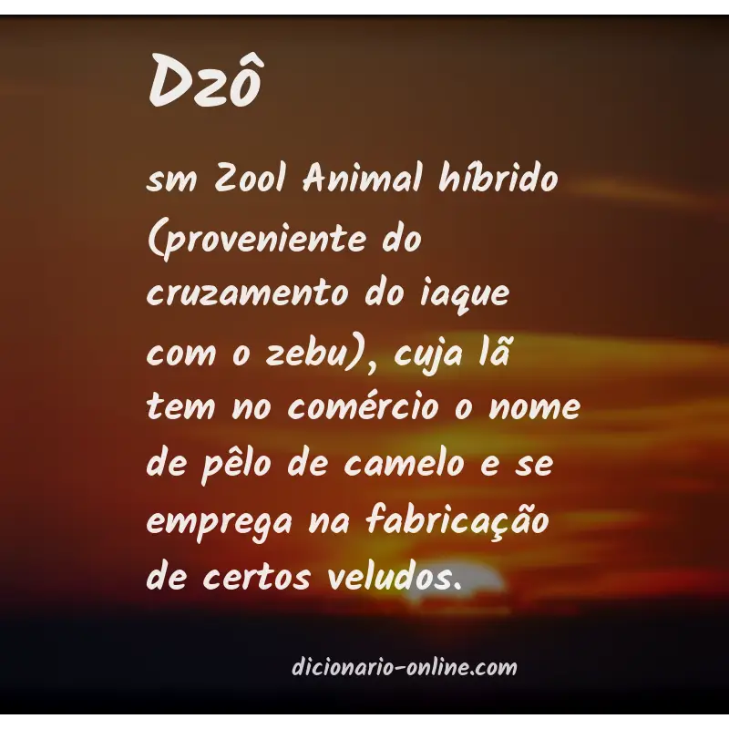 Significado de dzô