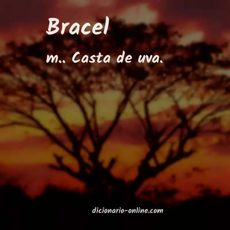 Significado de bracel