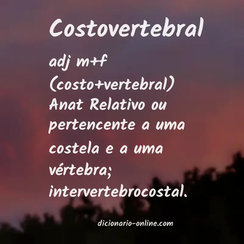 Significado de costovertebral