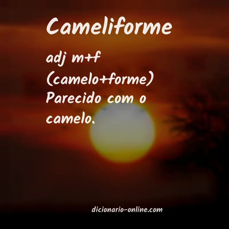 Significado de cameliforme