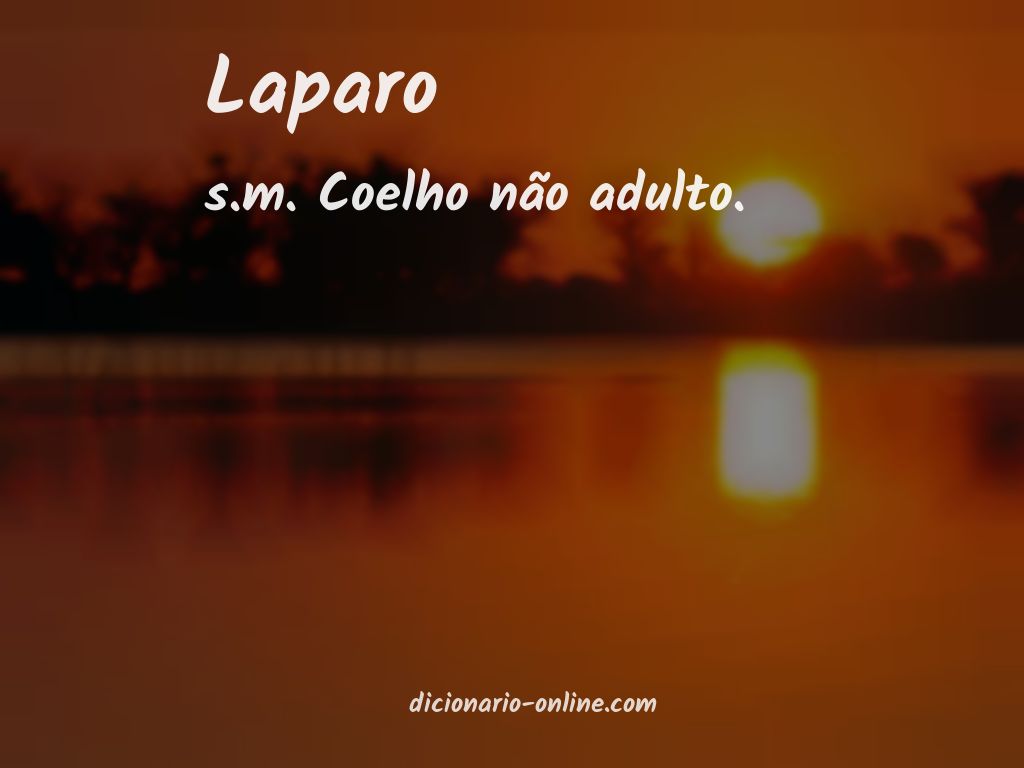 Significado de láparo