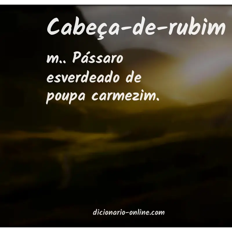 Significado de cabeça-de-rubim