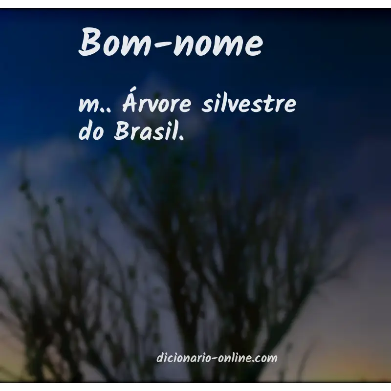 Significado de bom-nome