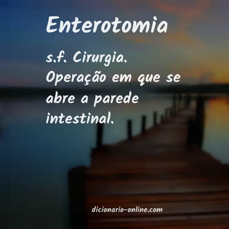 Significado de enterotomia