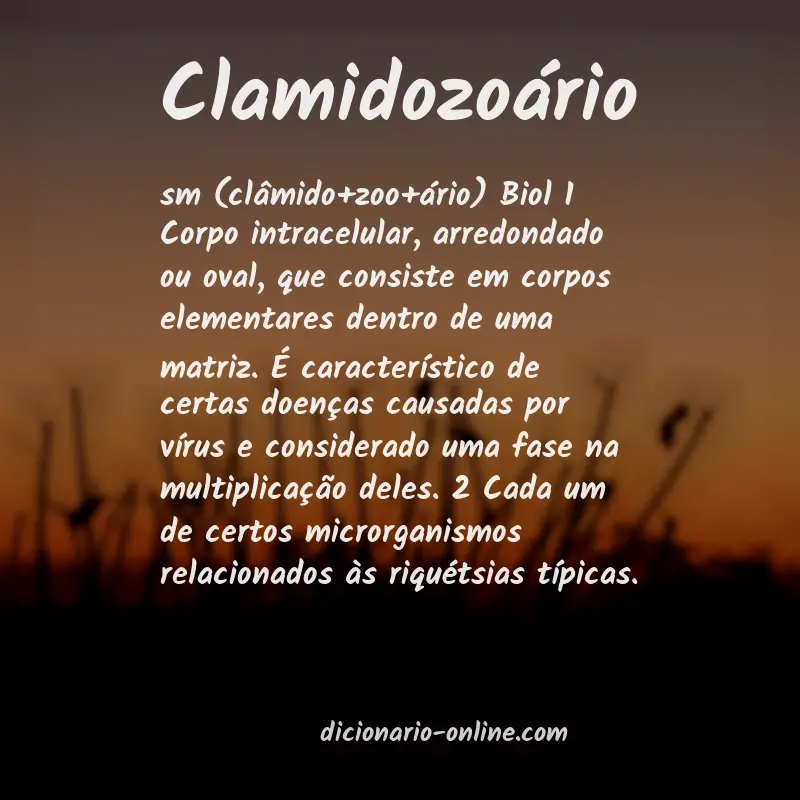 Significado de clamidozoário