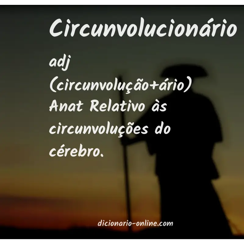 Significado de circunvolucionário