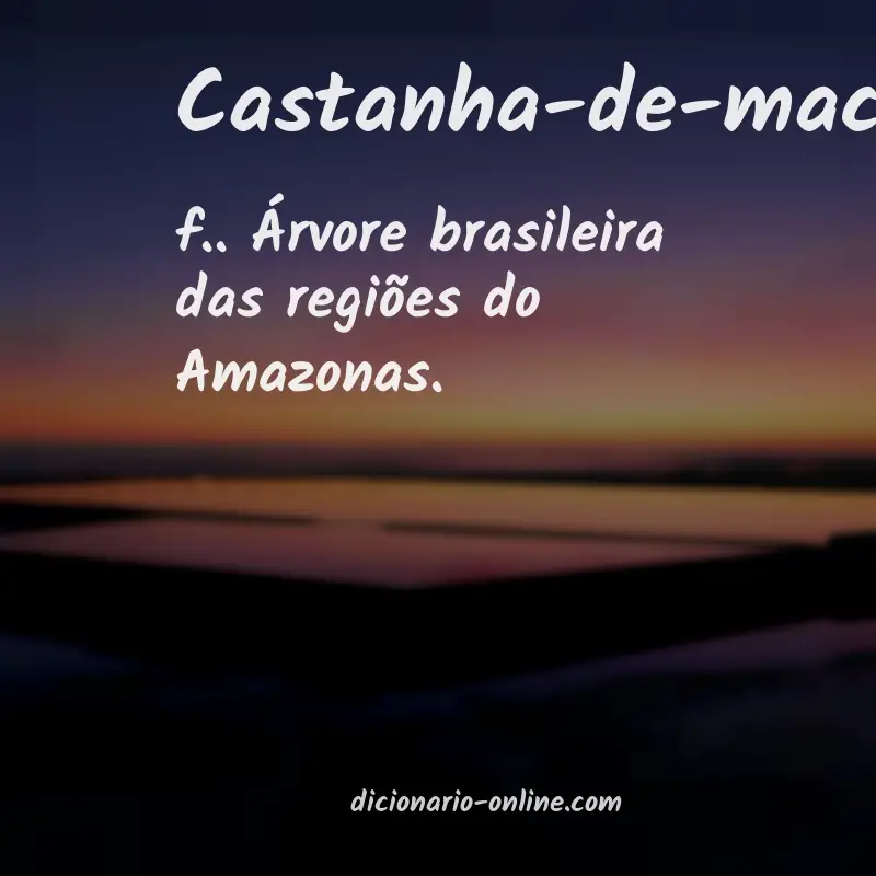 Significado de castanha-de-macaco