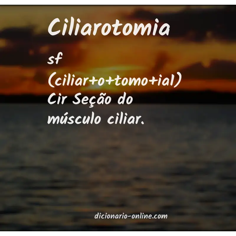 Significado de ciliarotomia