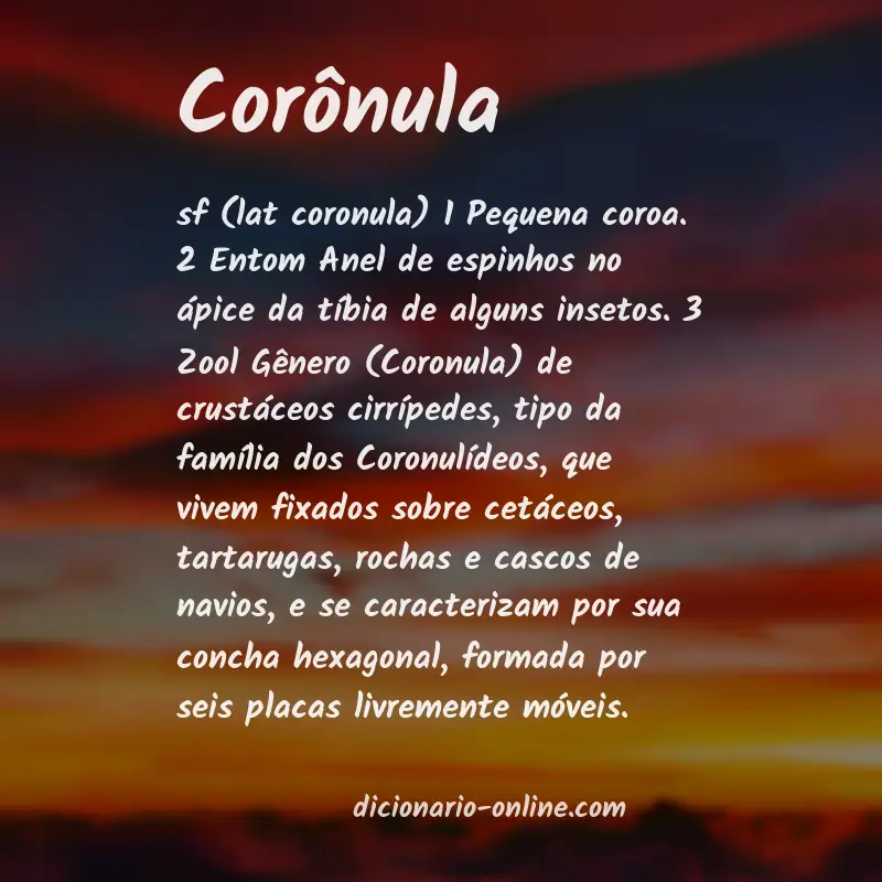 Significado de corônula