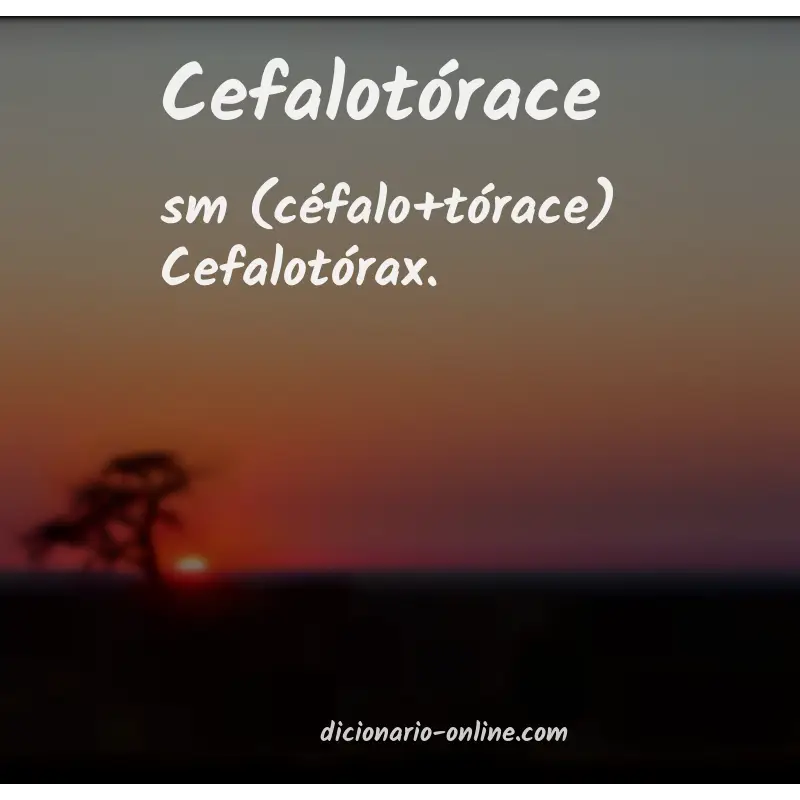 Significado de cefalotórace