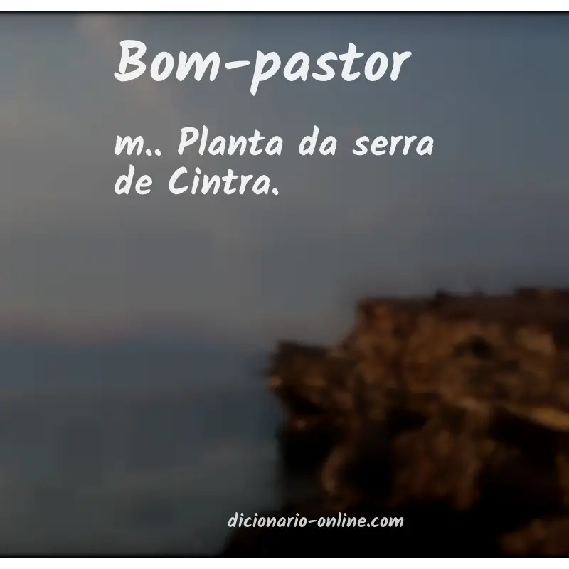 Significado de bom-pastor