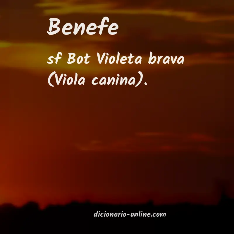 Significado de benefe