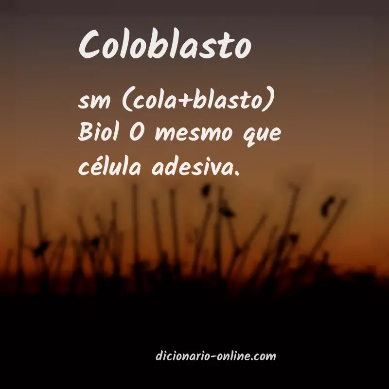 Significado de coloblasto