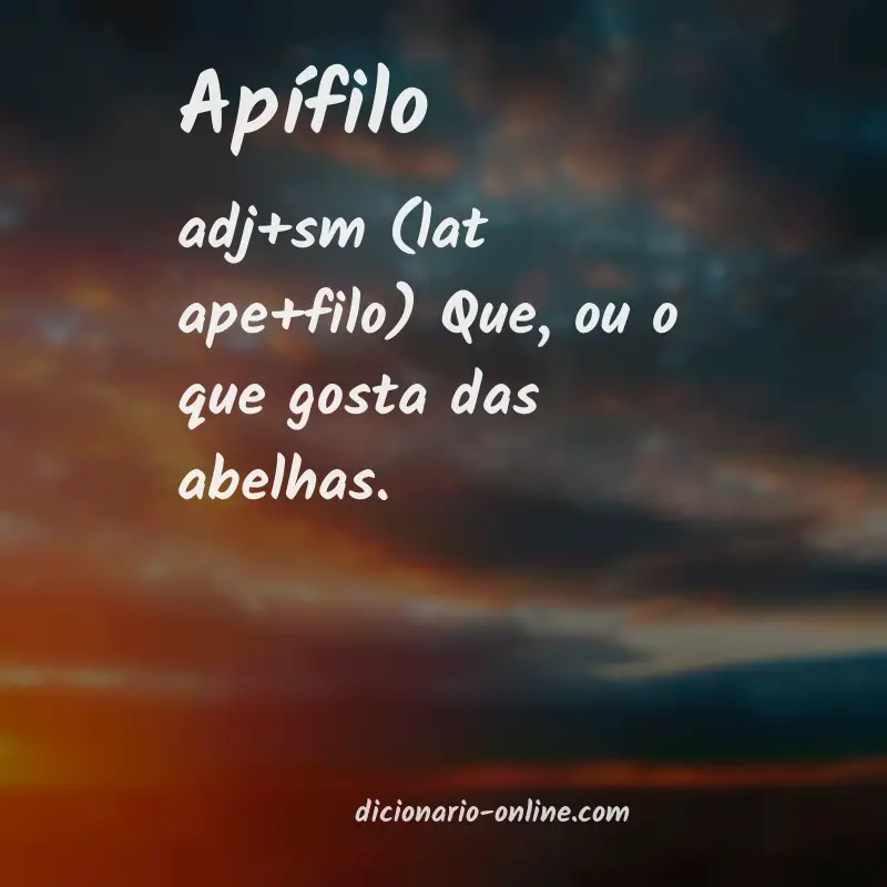 Significado de apífilo