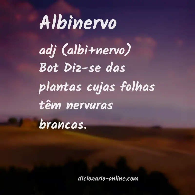 Significado de albinervo