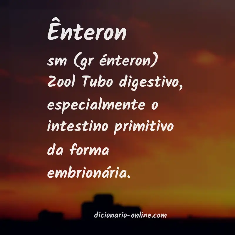 Significado de ênteron