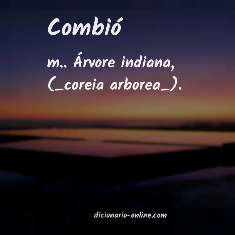 Significado de combió