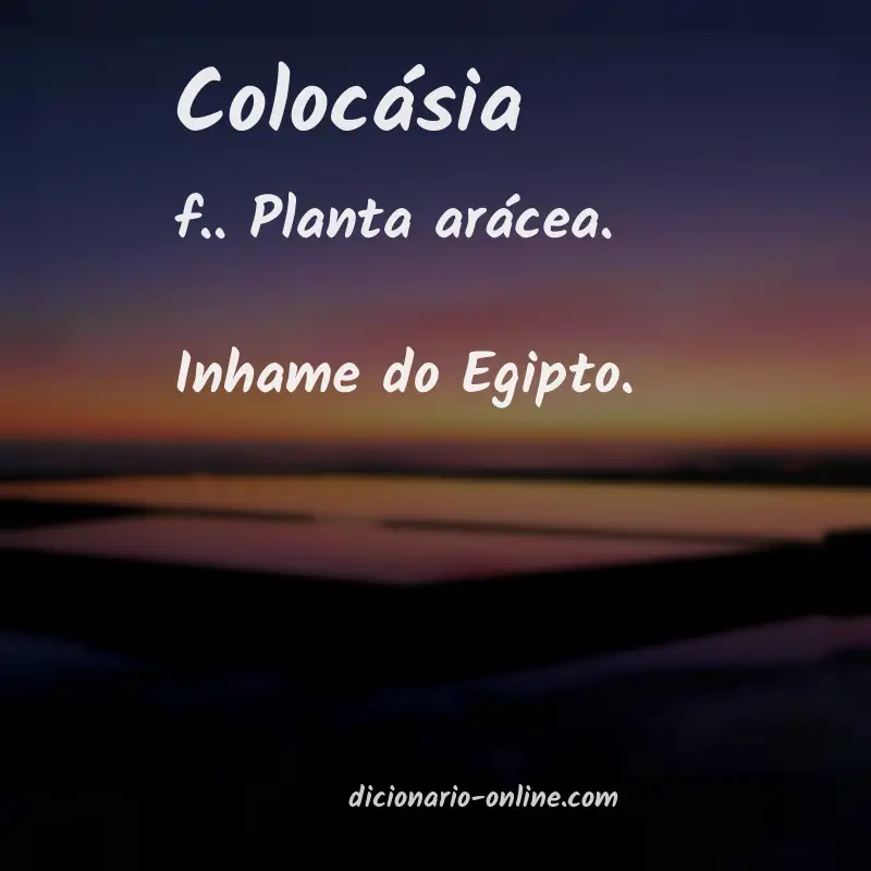 Significado de colocásia