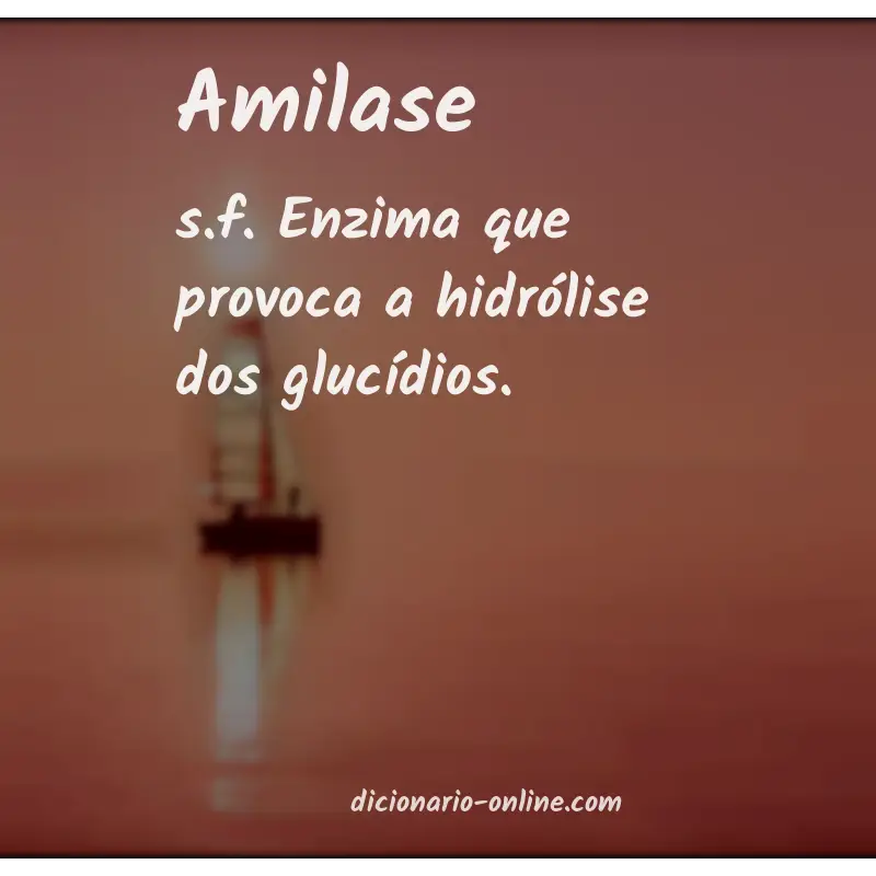 Significado de amilase