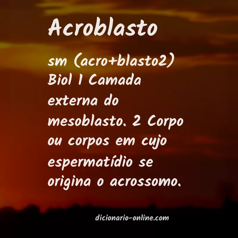 Significado de acroblasto