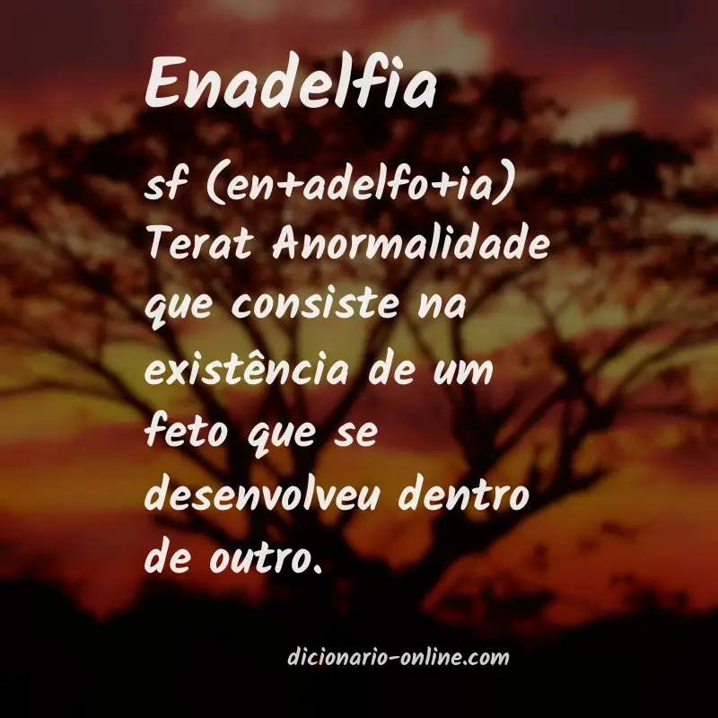 Significado de enadelfia