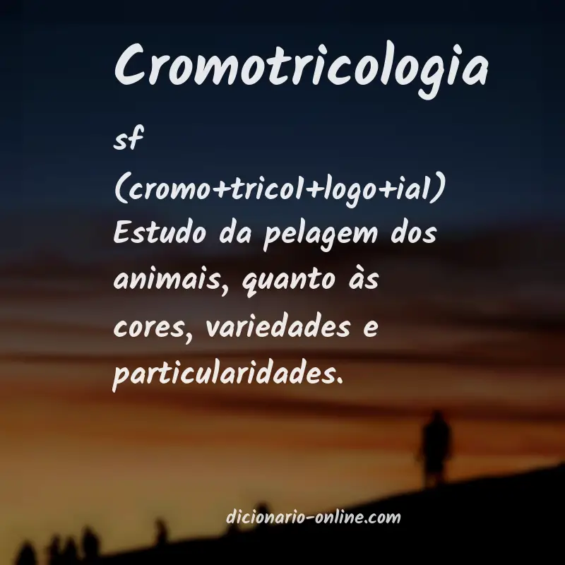 Significado de cromotricologia