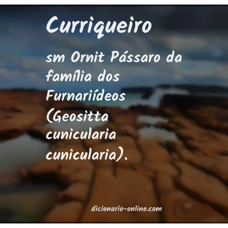 Significado de curriqueiro