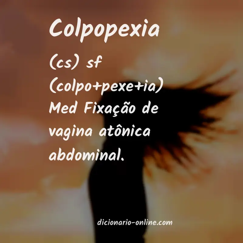 Significado de colpopexia