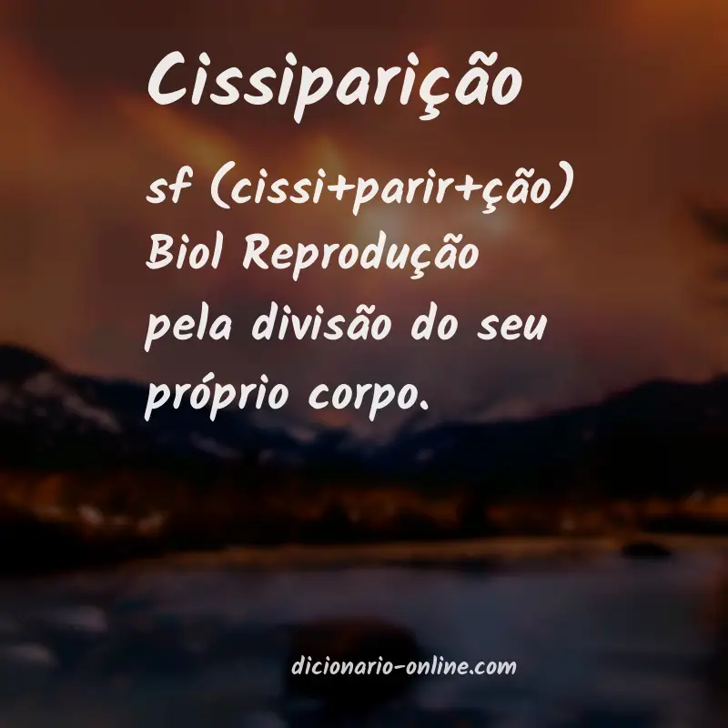 Significado de cissiparição